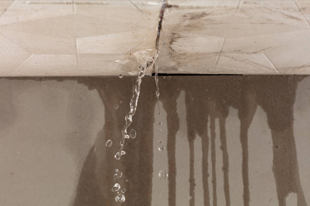 Professional Structural Drying technician working in Genoa, AR